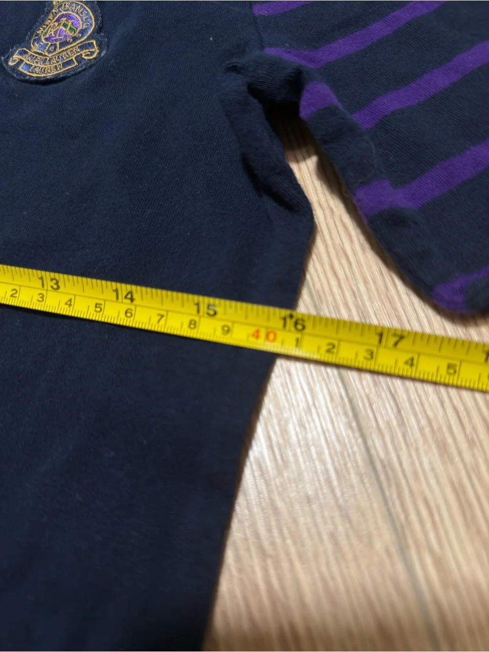 Ralph Lauren Navy Crewneck with Purple Striped Sleeves and Crest